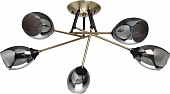 Потолочная люстра Вита 220014005 