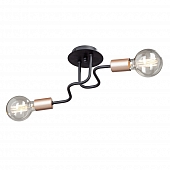 Потолочная люстра  V4560-1/2PL 