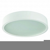 Потолочный светильник Jasmin 23128 