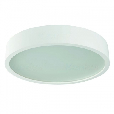 Потолочный светильник Jasmin 23128