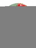 Светильник для растений  FITO-100W-RB-LED 