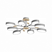 Потолочная люстра LED4U L3221-850 GR 