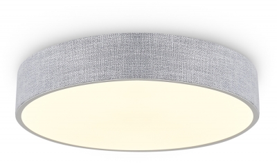 Потолочный светильник Ruler FR5555CL-L30BGG