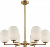 Потолочная люстра Sharlot FR1012PL-06BS 