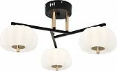 Потолочная люстра Halma 10301/3LED 