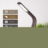 Офисная настольная лампа ELARA TL90220 