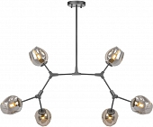 Потолочная люстра LOFT LOFT-6 BK 