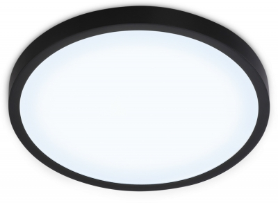 Потолочный светильник ORBITAL FZ1953