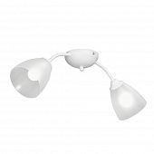 Потолочная люстра  V3737-0/2PL 