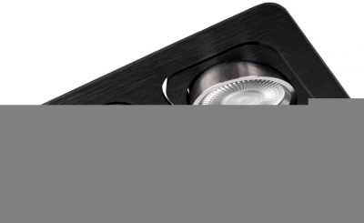 Точечный светильник Trick 10342/2 Black