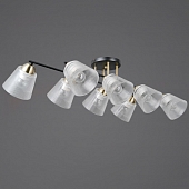 Потолочная люстра  IL0845-8CSQ-25BKAB ELITE 