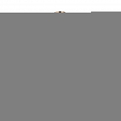 Подвесная люстра Venecia 2113/03/12P 