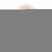 Лампочка накаливания  IL-V-ST64-60/GOLDEN/E27 VW02 