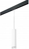 Трековый светильник Rullo PRORP49630 