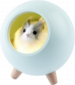 Ночник  NLED-468-1W-GR 