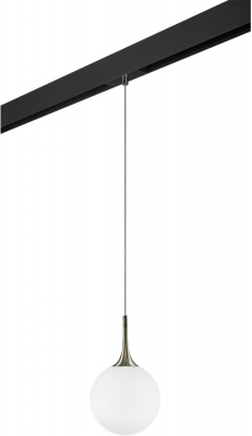 Трековый светильник Globo PRO813021