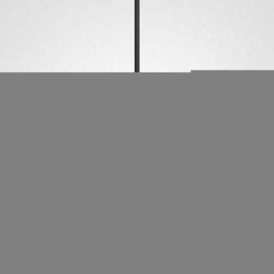 Подвесной светильник  PLATE01