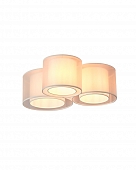 Потолочный светильник Massa V11397-3C 