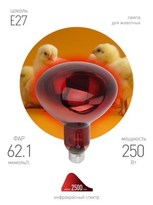 Лампочка инфракрасная  ИКЗК 220-250 R127