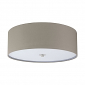 Потолочный светильник Pasteri 94919 