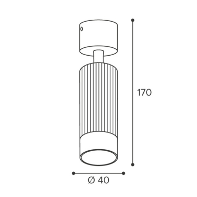 Спот Wsl-Gu10 WSL-MR11/S16BG