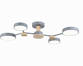 Потолочная люстра COMFORT FL4859 