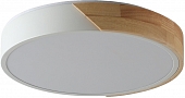 Потолочный светильник Alberro ZRS.01239.90 