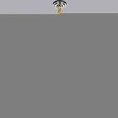 Подвесная люстра  20060-0.4-12 DN 