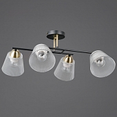 Потолочная люстра  IL0845-4CSQ-25BKAB ELITE 