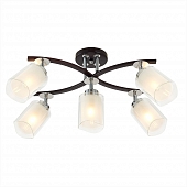 Потолочная люстра Фортуна CL156152 