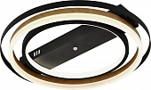 Потолочная люстра Lagom 10247/2LED 