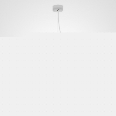 Подвесной светильник  COVERT01