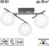 Потолочная люстра Dorsy CL223131 