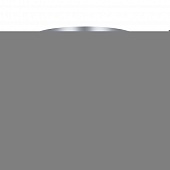 Потолочная люстра Whisper ES0000072 