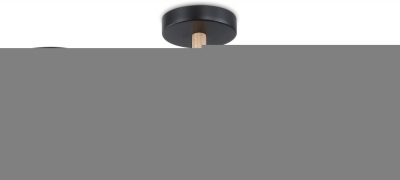 Потолочная люстра COMFORT FL4857