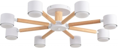 Потолочная люстра Vudi 8306/8C