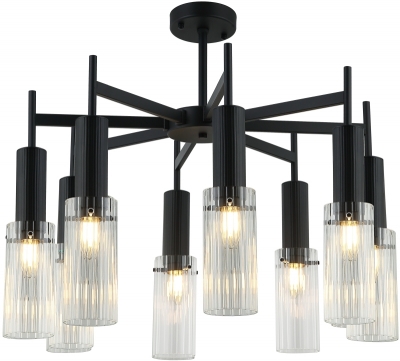 Потолочная люстра Wunder 2160/02/08P