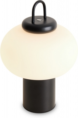 Интерьерная настольная лампа Take FR6175TL-L10B