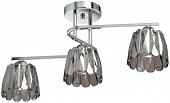 Потолочная люстра Клэр 463012003 