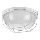 Настенно-потолочный светильник  ДПБ03-100-002 