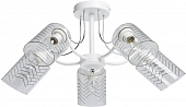 Потолочная люстра Акцент 680012805 