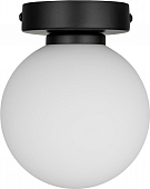 Настенно-потолочный светильник  WLL105.17BL-S01WH 