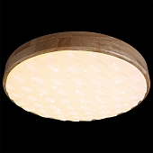 Потолочный светильник  60530-0.2-60W 