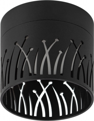 Точечный светильник  OL54 BK