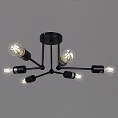 Потолочная люстра  01651-0.3-06 BK 