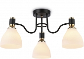 Потолочная люстра TRADITIONAL TR303303 