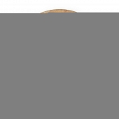 Настенный светильник Albero FR5589WL-01T 