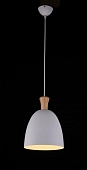 Подвесной светильник  F3524-27 