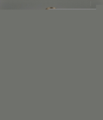 Подвесной светильник  F4124-66