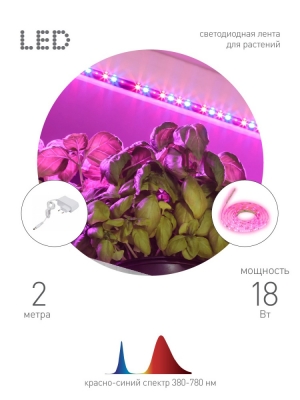 Светодиодная лента  FITO-Strip Light-RB-2m